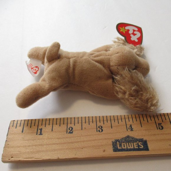 Spunky the catnip teenie Cocker Spanel - Picture 4 of 5